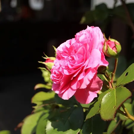 Bismarckschaenke Burg (Spreewald)